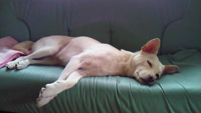 201210090843001.jpg