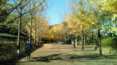 201211250940001.jpg