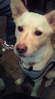 201212241217003.jpg