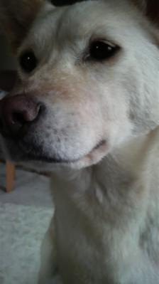 2013033014270000.jpg