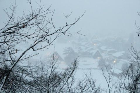 IMG_8248 (800x533)