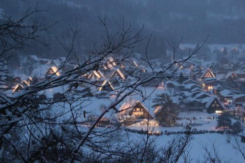 IMG_8257 (800x533)