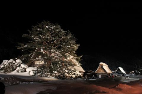 IMG_8402 (800x533)