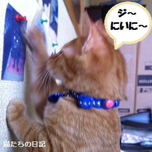 チャチャ