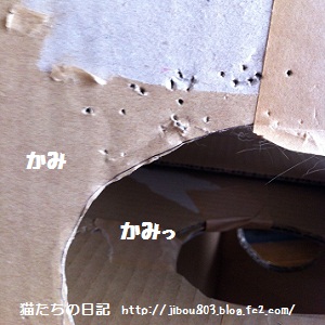 かみかみもぐらハウス