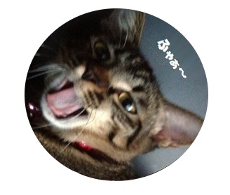 たいくつでたまりましぇん・・・