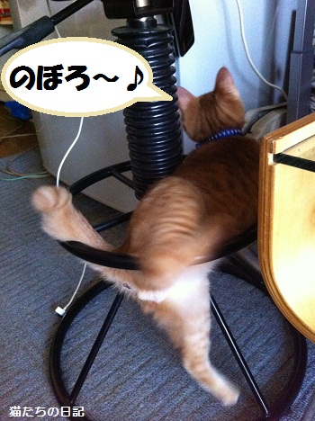 チャチャ