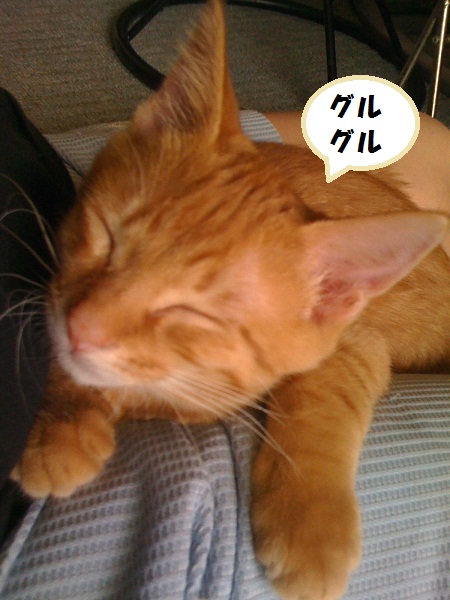 チャチャ