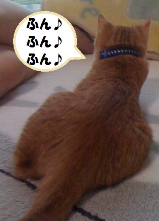 チャチャ