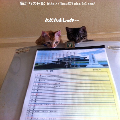 おかあさんもくるでしゅよ♪