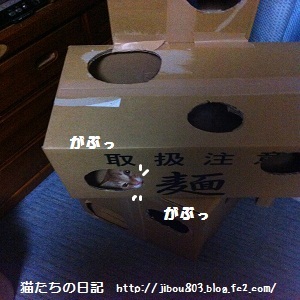 チャチャ