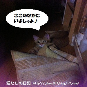 にげられましぇん!!