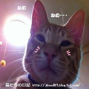 ねむたいでしゅ・・・