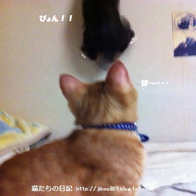 た~たん つかれましぇんか・・・?