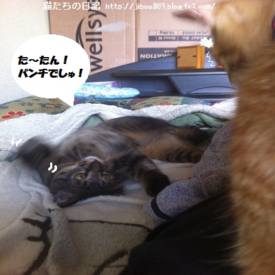 とっくんの せいかでしゅ~~~