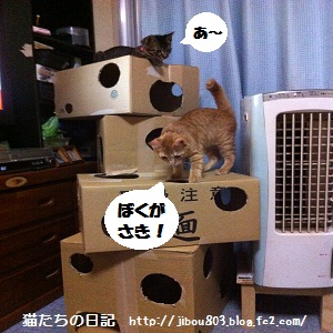 わ~い♪