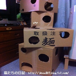 チャチャ