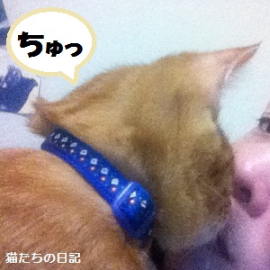 チャチャ