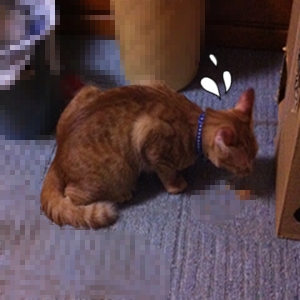 おくちから おやつがでてきたでしゅ~♪