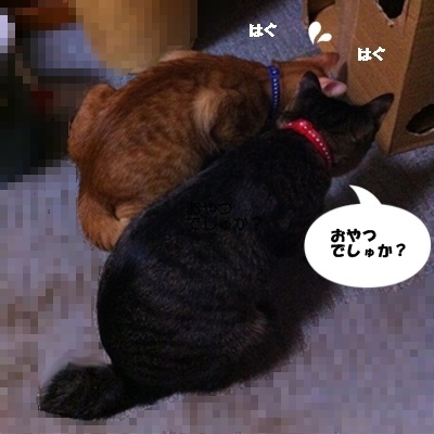 ぼくにもくだしゃい!