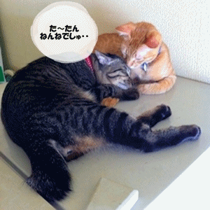 た~たんは~♪ ぼくの♪ おにいちゃん~♪