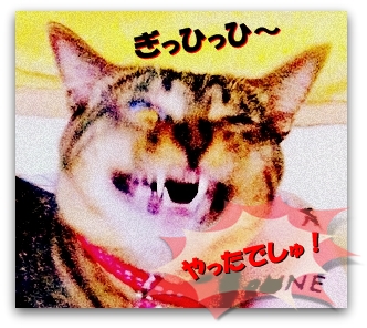 ぼく いがいは つかっちゃダメ!!