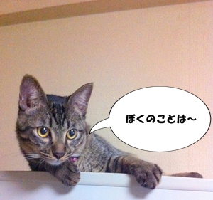 おかあさんは ちゃ~たんのほうが すきなんでしゅか・・・