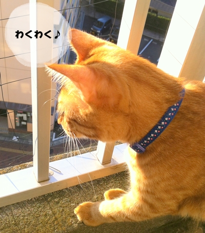 おそらも とべるかもしれましぇん♪