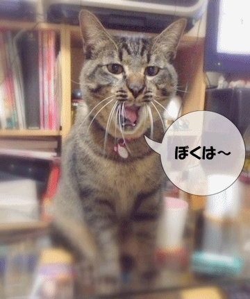 あぶないものは きけんでしゅ!
