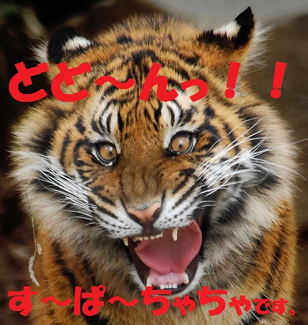 す~ぱ~ちゃちゃ