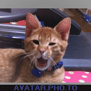 F24B14B4-10E3-43FE-B131-B0A07A10B305.gif
