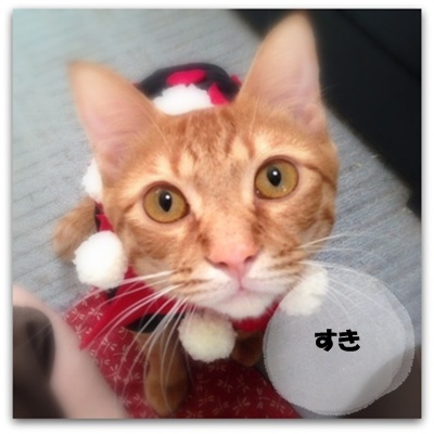 だっこしてくだしゃい♪