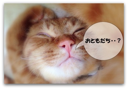 おともだちってなんでしゅか?