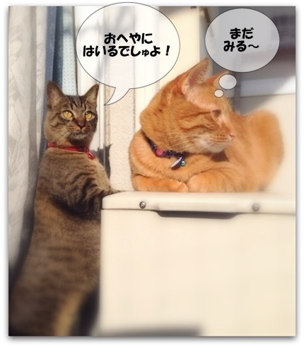 はやくはいらないと びょういんでチックンでしゅよ!