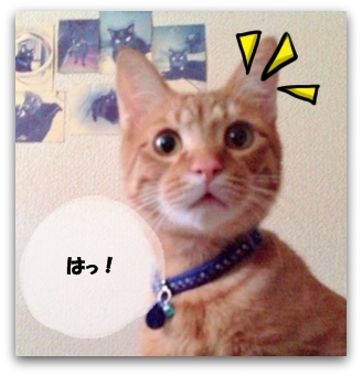 あれはなんでしゅか?!