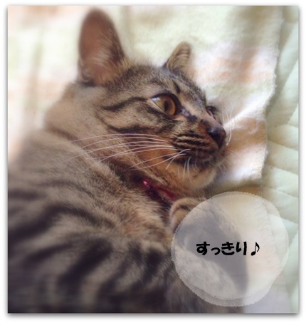 すこし ぽんぽんが へこみました