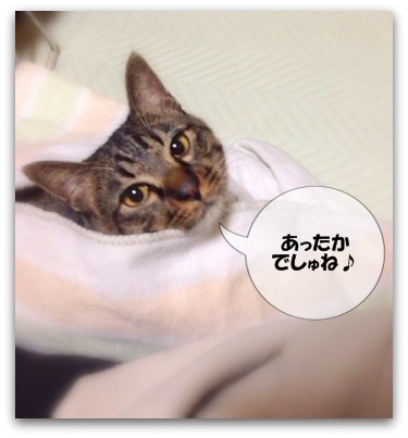 おふろみたいに あったかでしゅね♪
