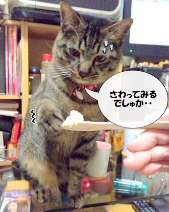おててが よごれましゅ・・・
