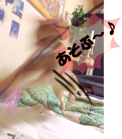 まってましたでしゅ!