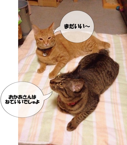 まだ あそびたいでしゅけど・・・