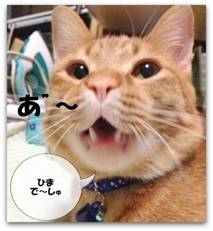 おかあさんは ねんねでしゅ・・・