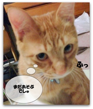 ぼくの おめめは さえさえでしゅ!