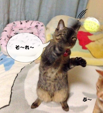 みんなでやるでしゅよ♪