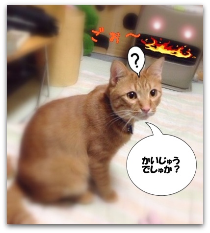 かみつくでしゅか?!