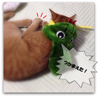 このこの~ ぼくとあそぶでしゅよ!