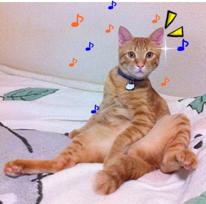 なんでしゅか! しょれは?!