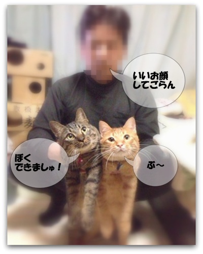 はやくあそんでくだしゃい!