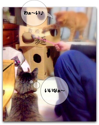 あとすこし まってみるでしゅ・・