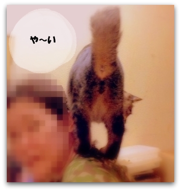 いけてましゅ!