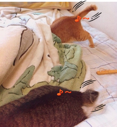 こっち! こっちでしゅ!